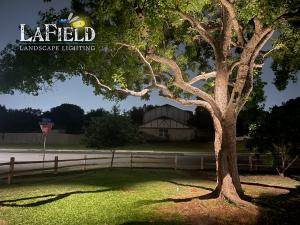 Lafield-Landscaping live-oak-tree-uplighting-02