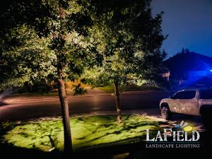 Lafield-Landscaping tree-downlighting-01